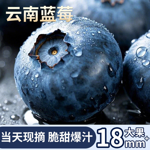 云南新鲜蓝莓果香浓郁甜感十足