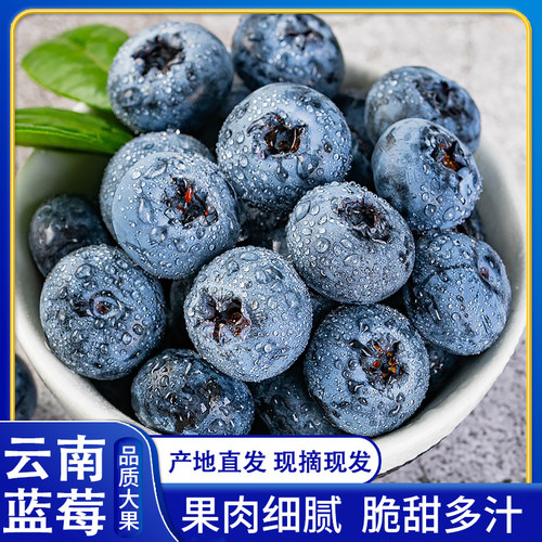 云南新鲜蓝莓果香浓郁甜感十足
