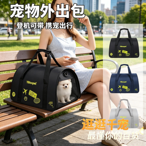 轻奢宠物外出包透气大容量防应激