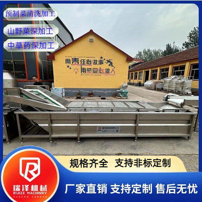 水产品气泡清洗机胡萝卜清洗机酸菜清洗机大枣清洗机