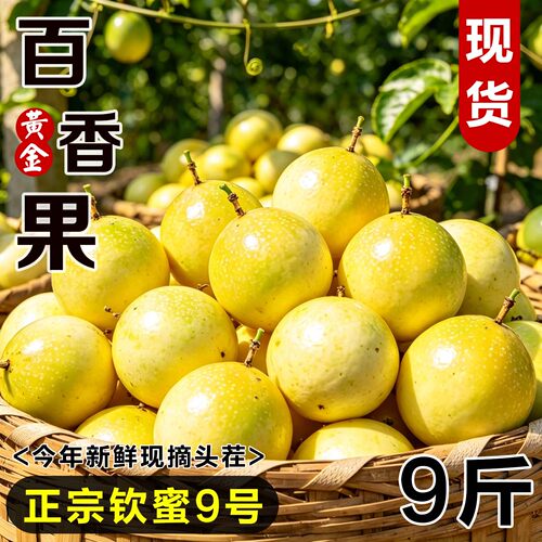 正宗钦蜜9号百香果新鲜现摘大果
