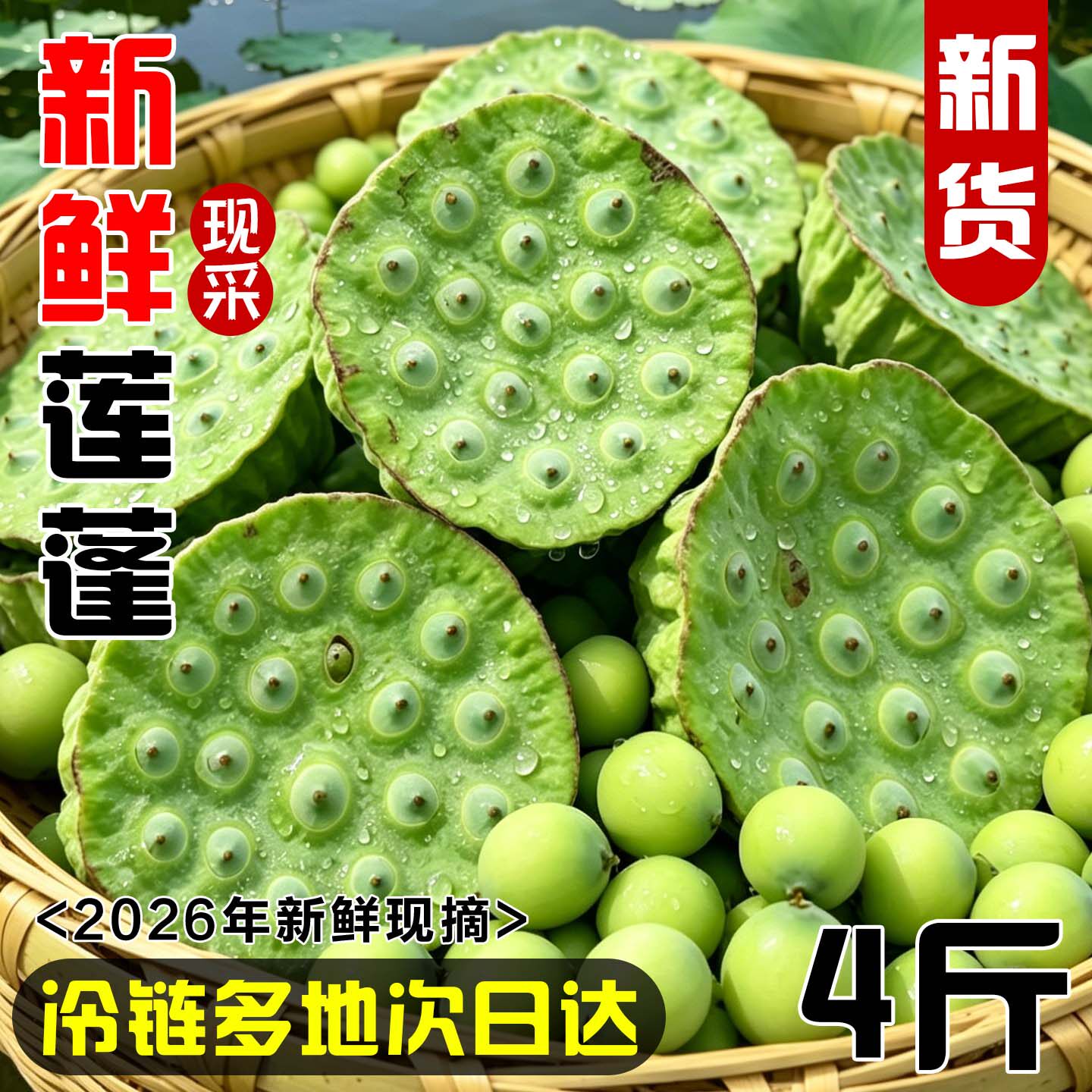 莲蓬新鲜生吃现摘水果莲子米当季即食蔬菜整箱包邮脆甜嫩莲蓬鲜果
