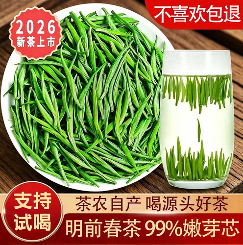 雀舌绿茶2026明前特级新茶