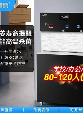 碧丽商用净水器饮水机公室位工厂大流量立式反渗透学校直饮机