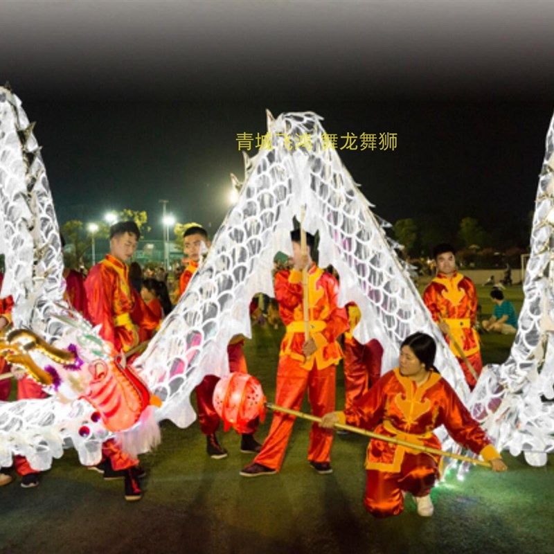 舞龙LED灯光舞龙道牛津布烫金灯光龙 夜光龙 龙灯道具 LED灯光龙