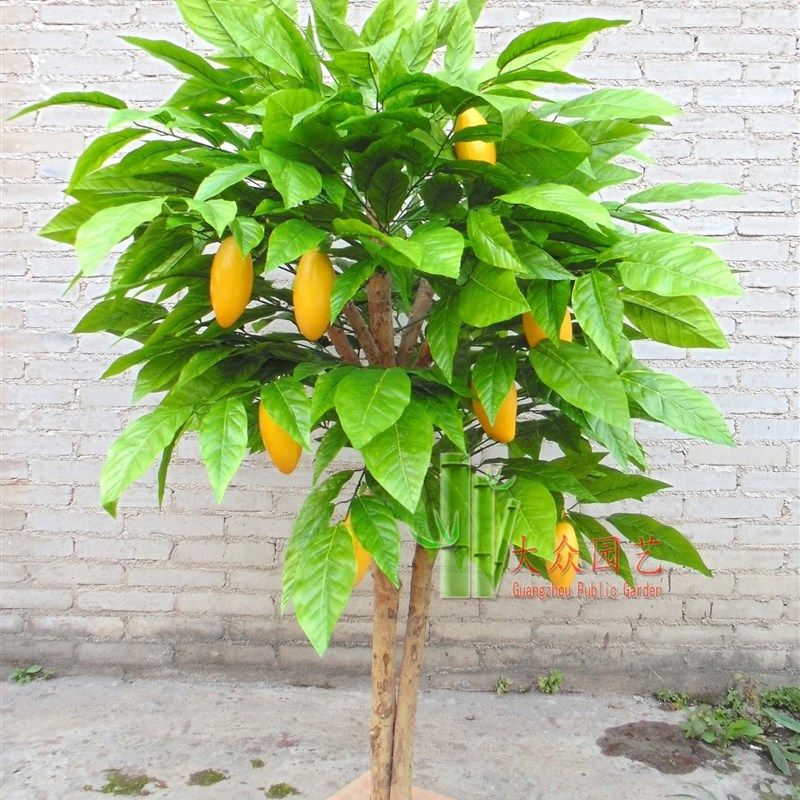 仿真芒果树假芒果树水果档超市水果堆头展位装饰水果树假绿植