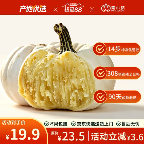【季节限定】南小萌奶油贝贝南瓜
