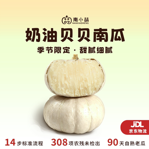 【季节限定】南小萌奶油贝贝南瓜