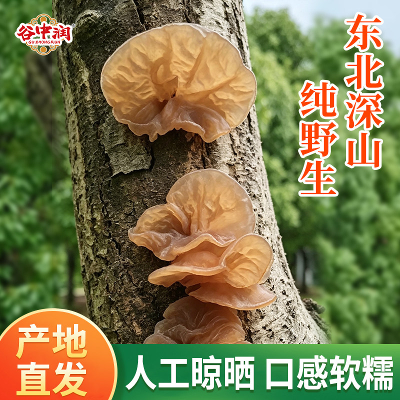 正宗东北野生黑木耳干货长白山特产小碗秋木耳肉厚无根高泡发正品