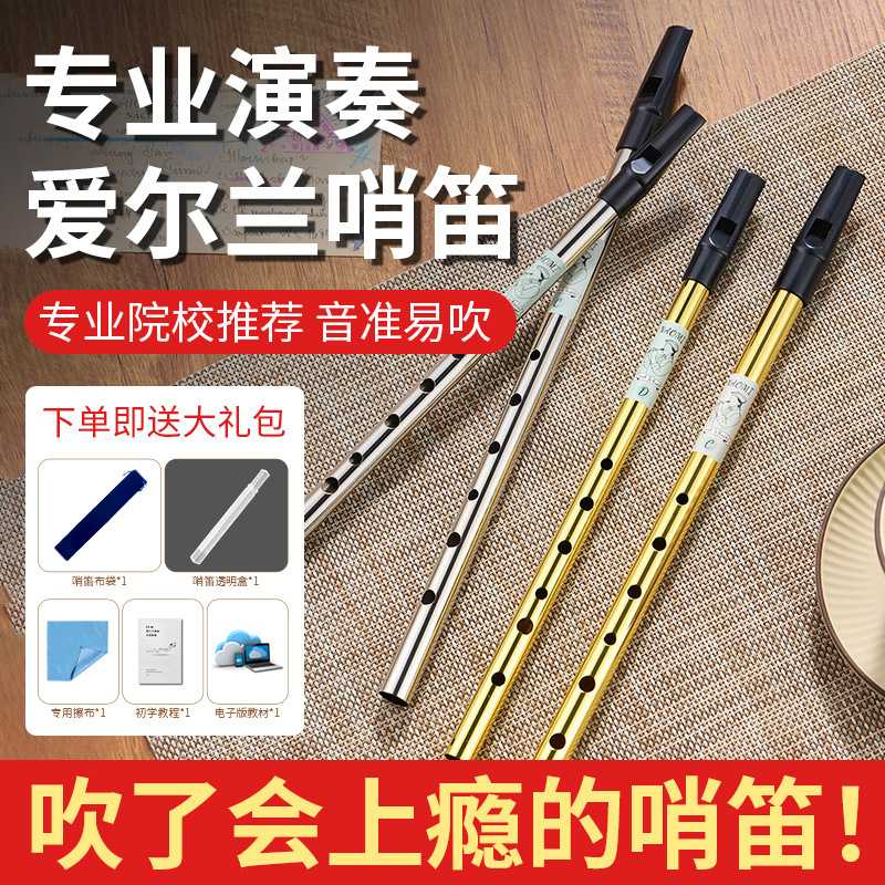爱尔兰哨笛树脂小学生初学专用六孔笛子C调D调专业演奏全金属竖笛