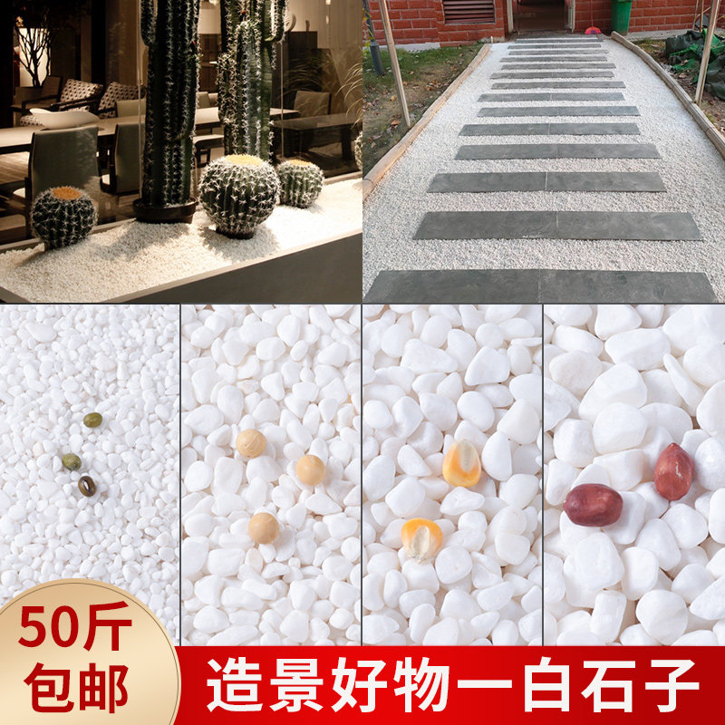 白石子白色小石头鹅卵石铺地碎石庭院阳台花园造景造型装饰小石子