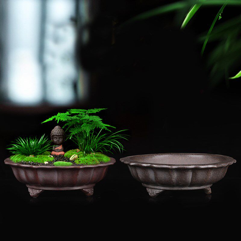 宜兴紫砂兰花盆浅园盆小叶紫檀精品多肉菖蒲桌面盆景创意陶瓷家用