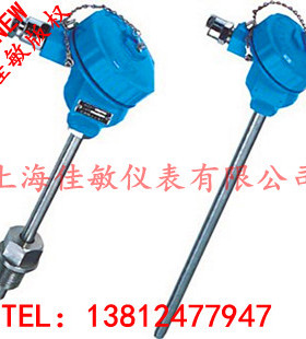 Pt100防爆热电阻WZP-240 螺纹安装防爆热电偶 温度感测器 监视器
