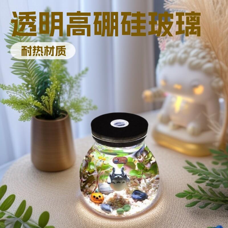 玻璃带灯花水族生态鱼缸硼硅子微景观容器桌面摆放简约