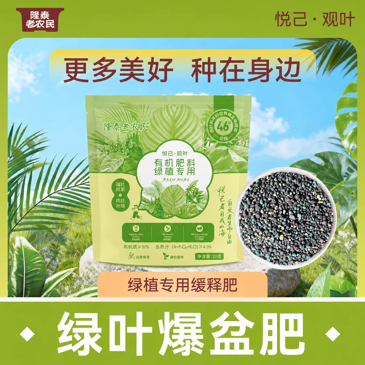 悦己绿植多肉专用肥料磷酸二氢钾复合肥硫酸亚铁蔬菜农用种菜肥料