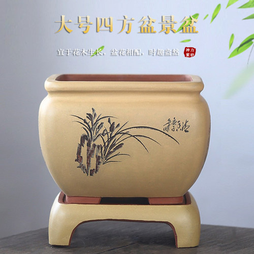 花盆 陶瓷 君子兰精品紫砂花盆 兰花盆 吊兰花盆四方盆景盆送托盘