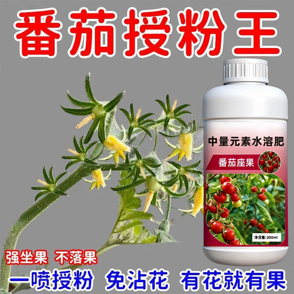 番茄催花座果灵番茄强效授粉免人工西红柿保花保落果新款授粉神器