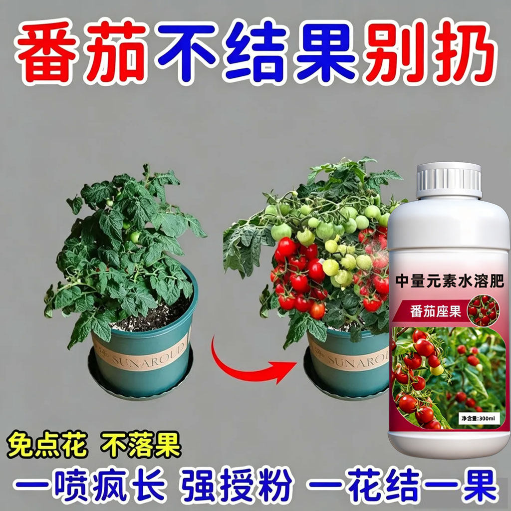 正品番茄授粉座果灵点花防落花坐果灵大棚番茄座果灵授粉