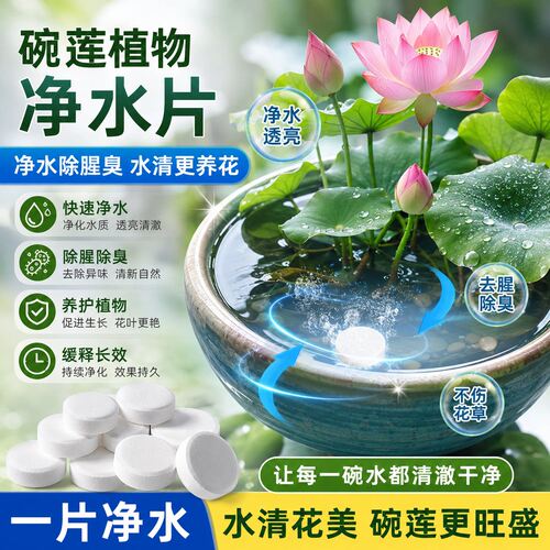 花卉保鲜剂碗莲除藻专用净化水质
