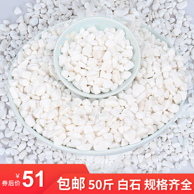 50斤白石子白色鹅卵石鱼缸小石头园林庭院铺路造景枯山水天然原石