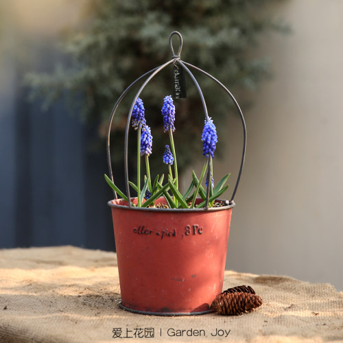 爱上花园园艺杂货做旧铁艺室内花园装饰草花套盆花盒铁皮吊盆