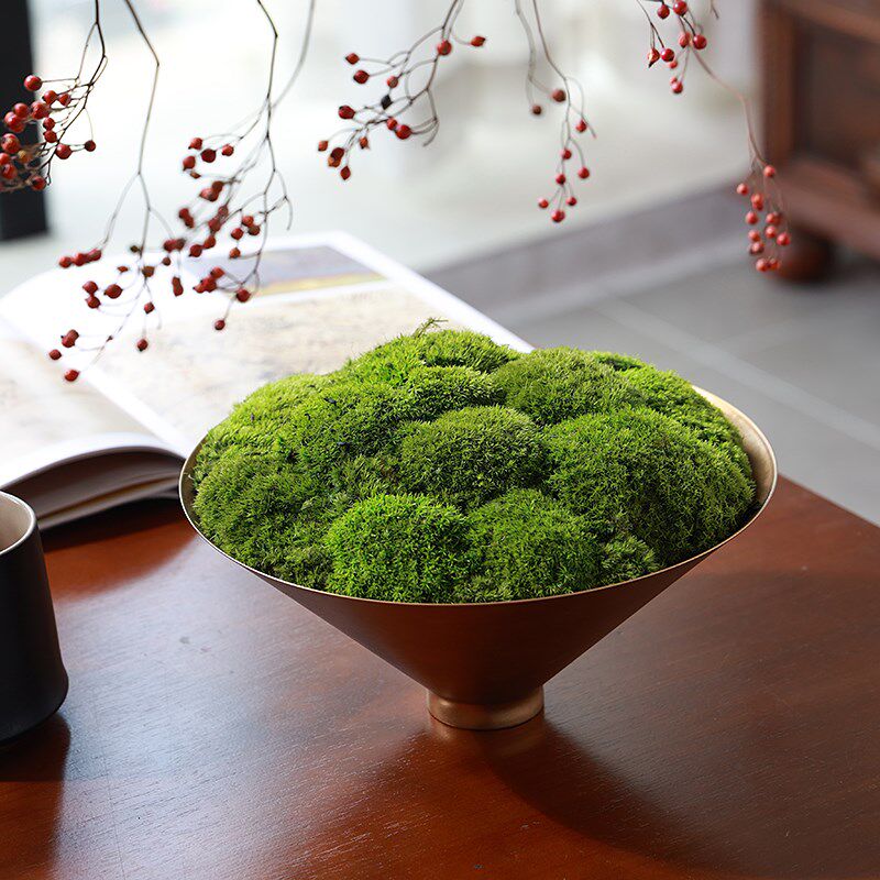 形上永生苔藓盆景侘寂中古金色花器售楼处酒店大堂洽谈桌装饰摆件