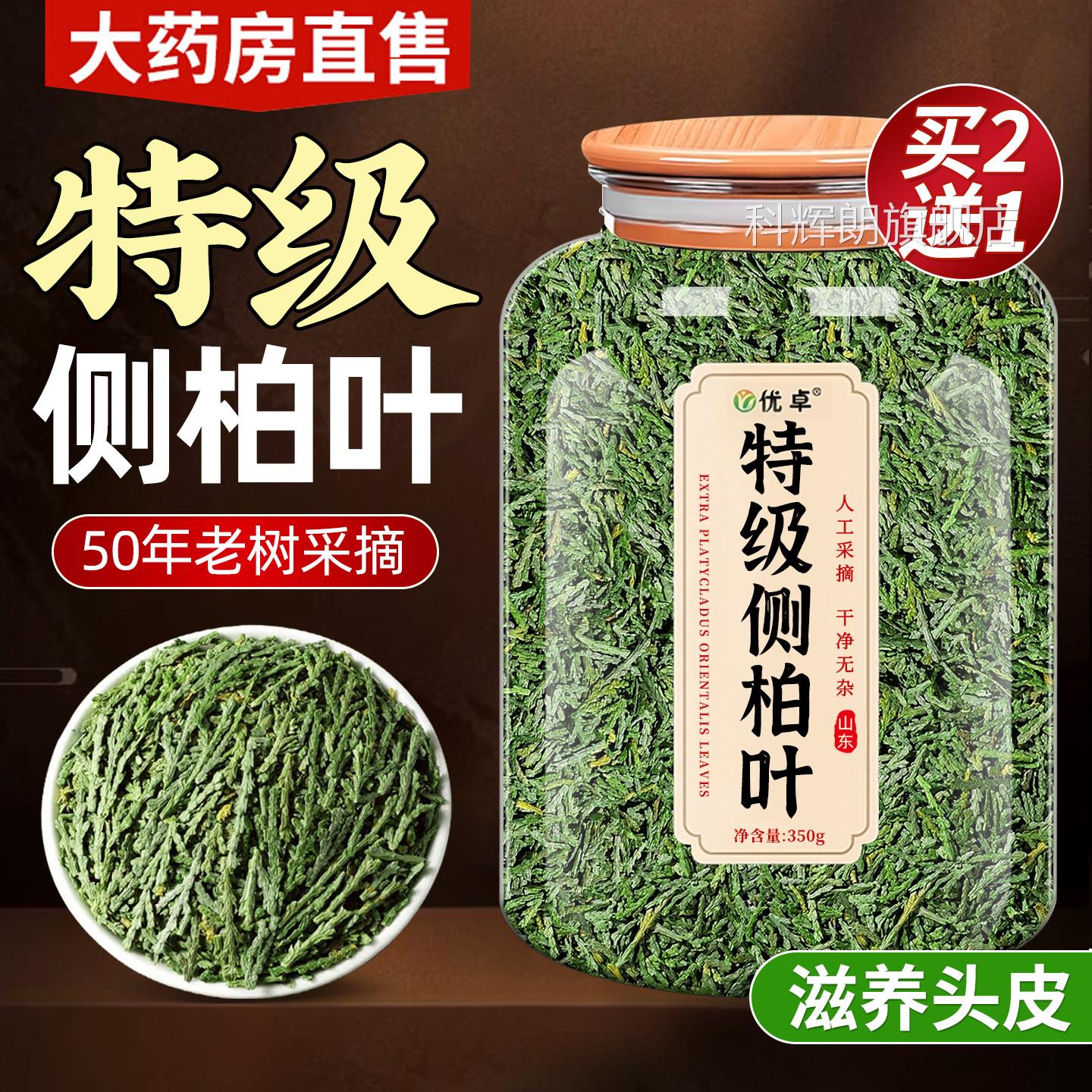 侧柏叶干中药材新鲜洗头发包纯植物本养草发生发育发防泡酒专用脱
