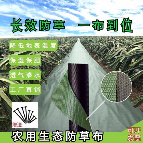 果树防草布除草布工厂直销火龙果遮草布透气保湿底布农用种植地膜