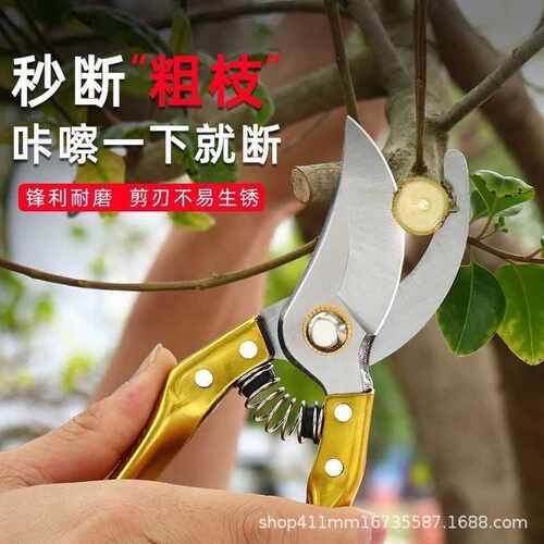 SK5修枝剪省力粗枝剪8寸园林花艺剪刀高树枝修剪工具