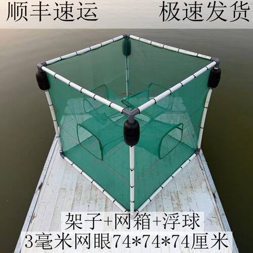 自动进鱼网箱白条黄骨鱼麦穗鱼