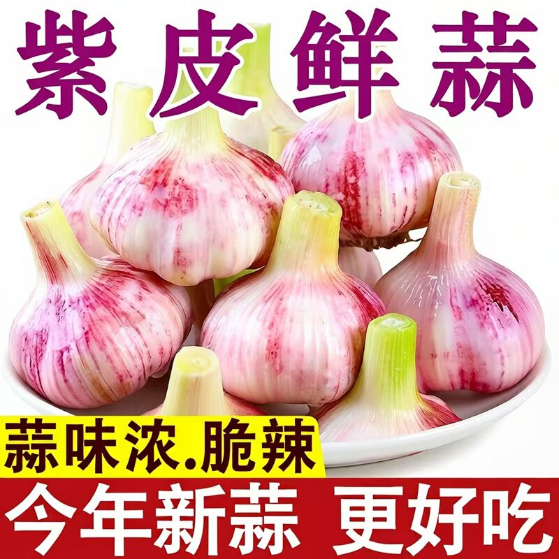 河南开封紫皮鲜蒜新蒜蒜味浓脆辣脆嫩散装大蒜头新鲜蔬菜