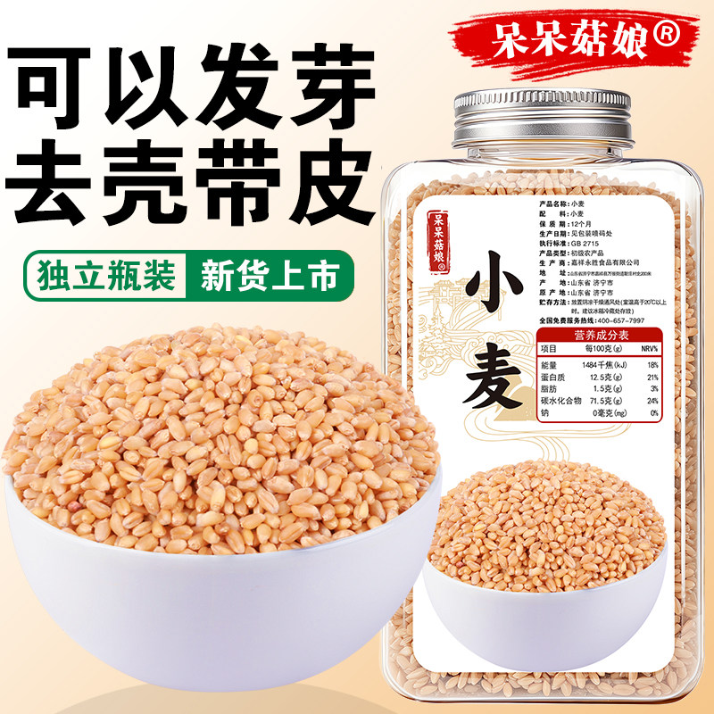 呆呆菇娘小麦500g颗粒饱满清香