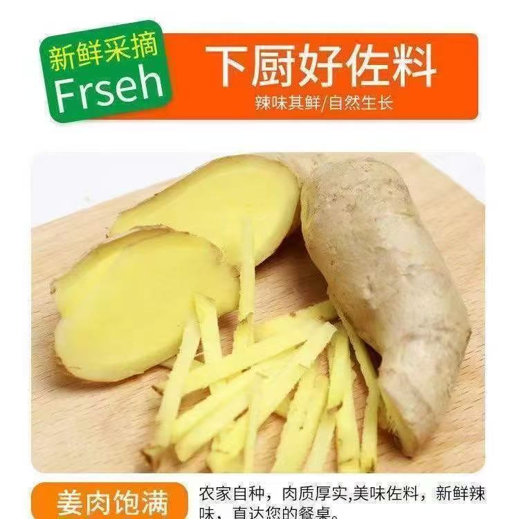 山东大姜风干姜食用姜无土干姜生生姜/南姜