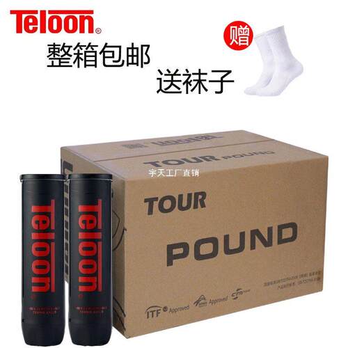 Teloon天龙网球P4 pound4个装网球 耐打弹力训练用球比赛宇天