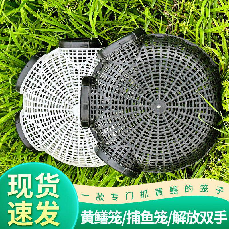 塑料黄鳝笼 PP圆形三孔塑胶鱼篓 圆形柔性捕鳝笼黄鳝笼