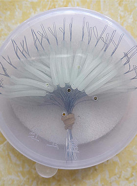 大大分钩器夜光分叉器分线器其他渔具垂钓用品钓鱼装备鱼具小配件