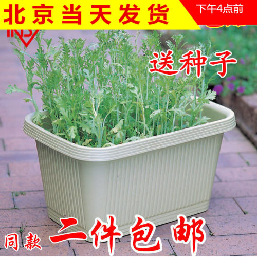 种花种菜盆家庭园艺阳台种植箱花槽长方形果蔬菜盆特大树脂盆花盆