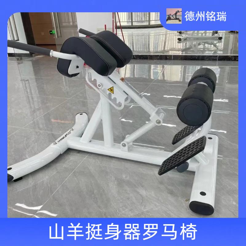 商用罗马椅山羊挺身器多功能扭腰机翘臀健身腰肌腹肌训练器罗马椅