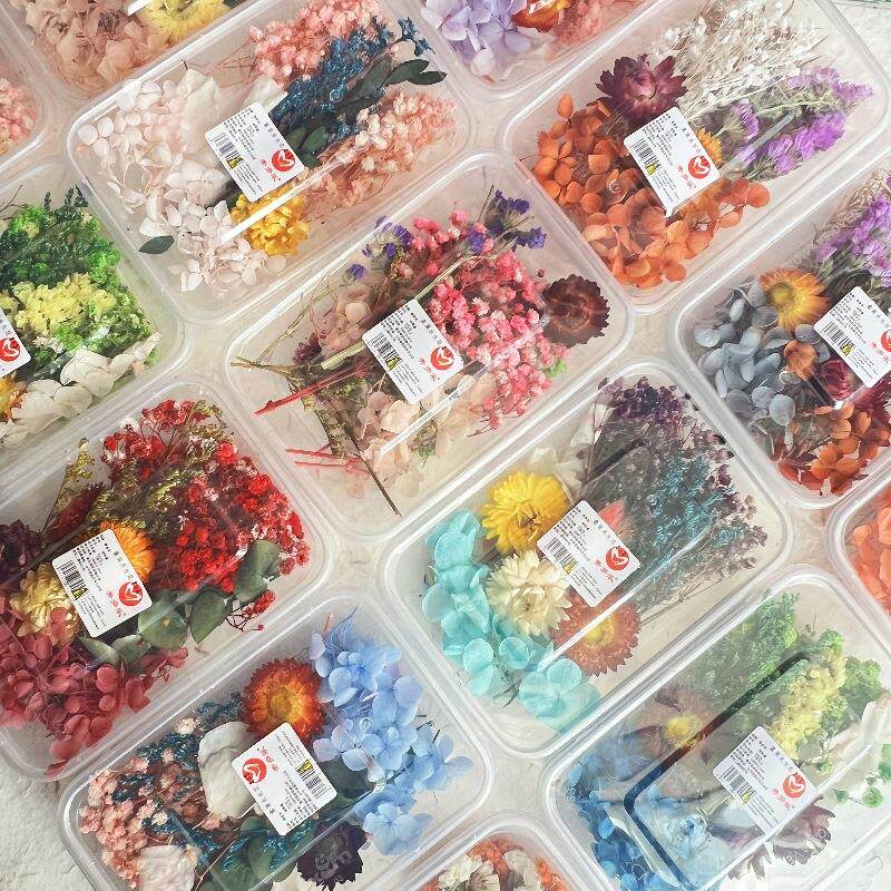 幼儿园手工制作干花材料盒组合DIY亲子活动使用植物制作盒装材料