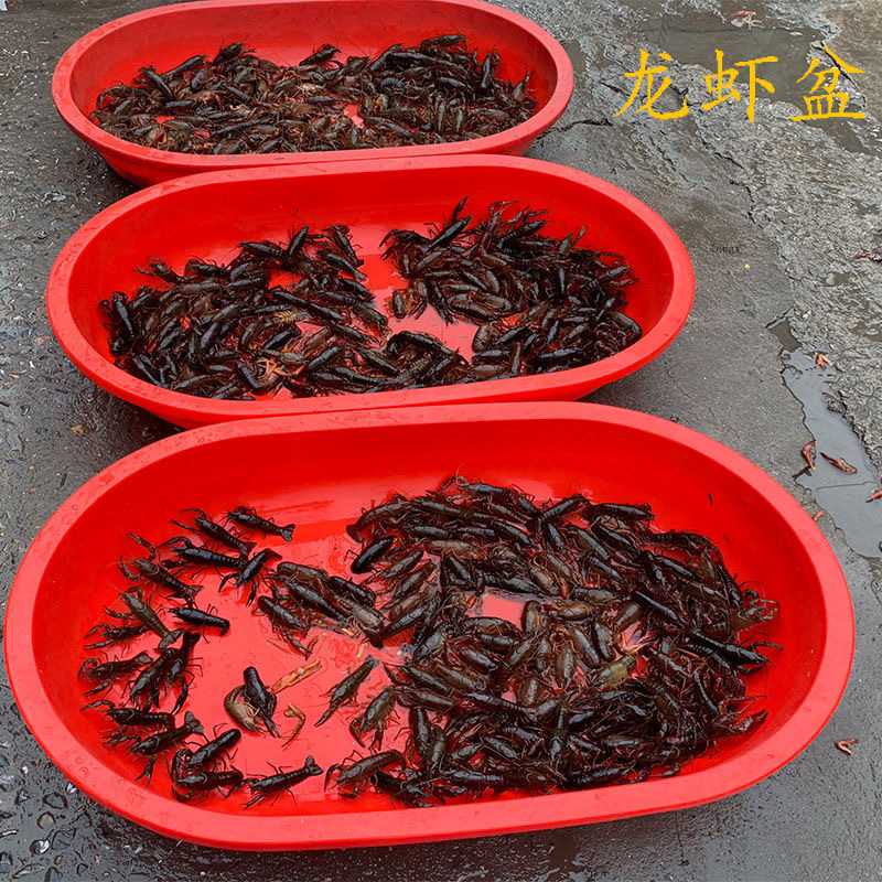 大号加厚塑料长盆椭圆盆养殖龙虾盆宠物洗澡盆沐浴盆洗衣盆家用新