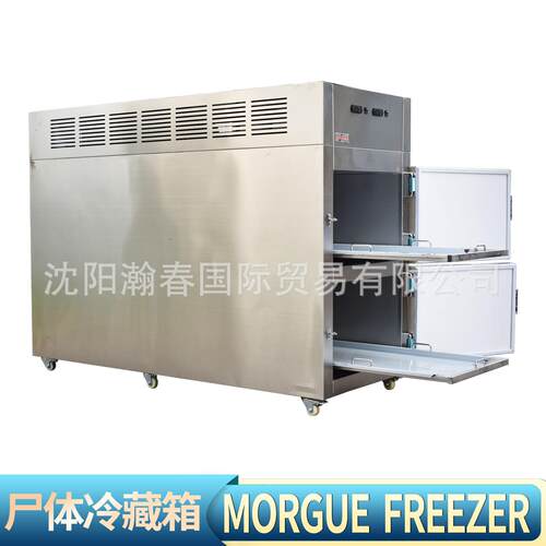 双开门停尸柜Freezer实验室标本冷冻柜太平间不锈钢2具尸体冷藏箱