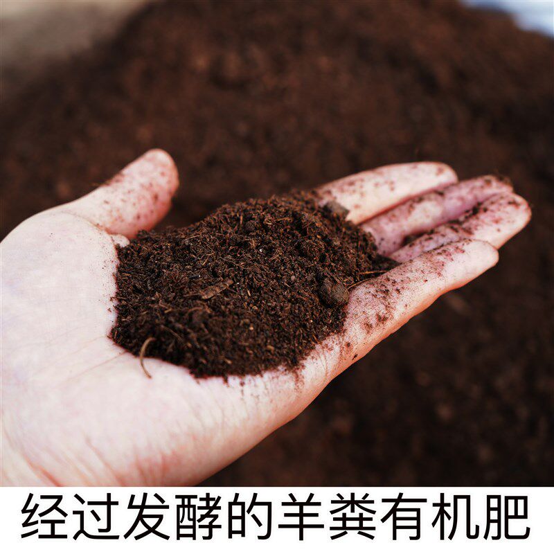 羊粪发酵有机肥兰花多肉营养土养花通用型底肥氮磷钾肥颗粒缓释肥