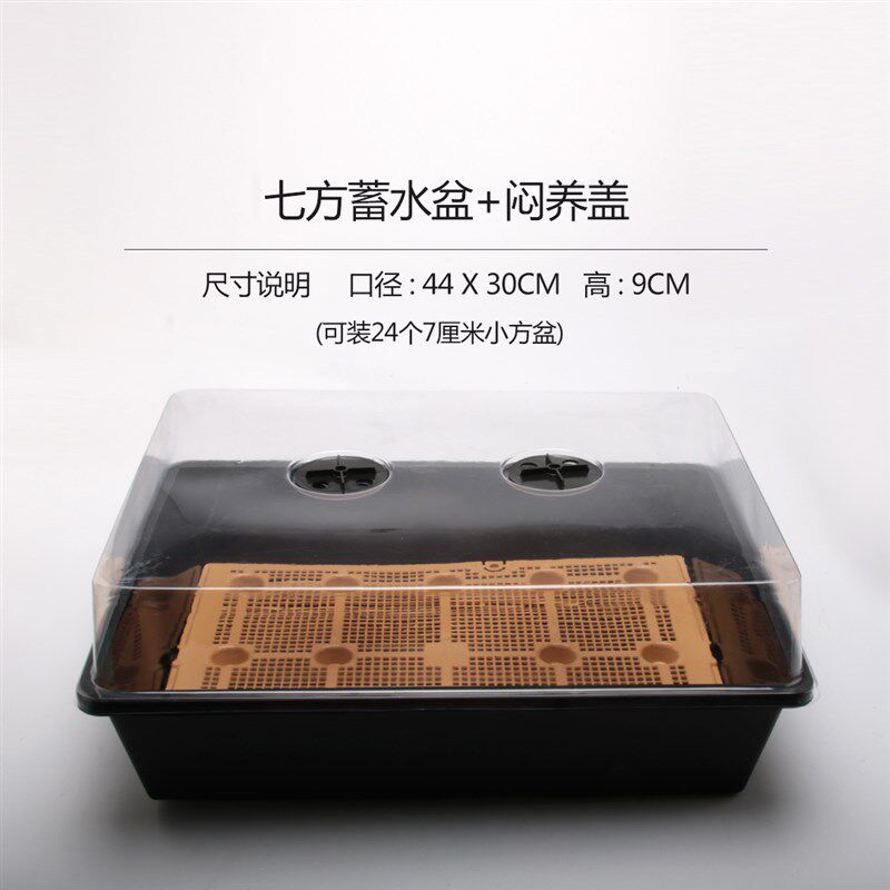 同根生多肉花盆 蓄水盆 闷养盆 可整理小方大方育苗盆 可蓄水