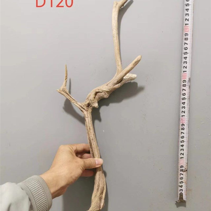 北太行崖柏毛料原木陈化骨客厅摆件随型造型天然干树枝个性小精品