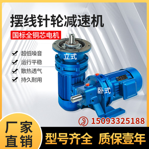 行星摆线针轮减速机小型立卧式摆针式减速器国标机头双轴搅拌厂家