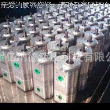 双联齿轮泵厂家优惠JNYCBQT-E563/F420-LCFH,CCBQT-E56/F3425-FHL