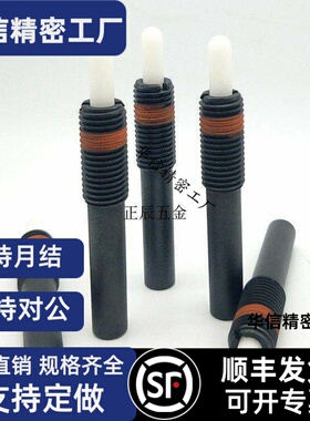NPJH16/20/24/30重载型弹簧柱塞伸缩定位顶销POM销弹簧顶丝ZAP17