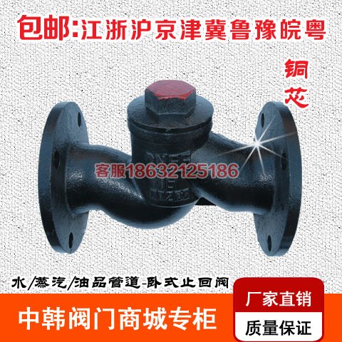 H41T-16法兰升降式止回阀 卧式止逆阀单向阀DN25 40 50 65 80 150
