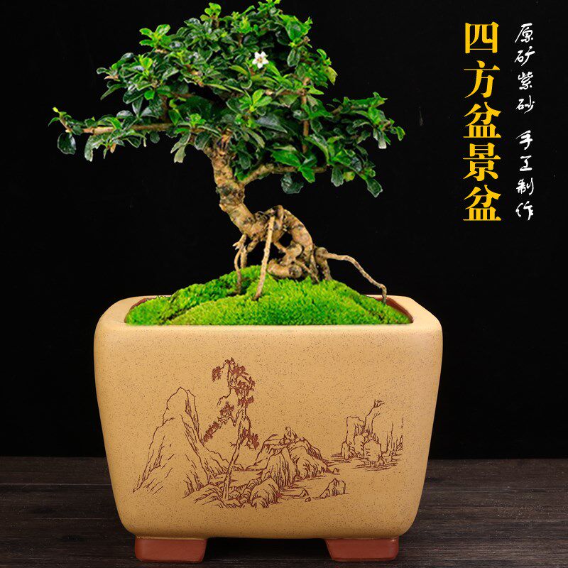 手工紫砂大花盆四方盆景盆宜兴陶瓷兰花老桩绿植君子兰种树精品盆