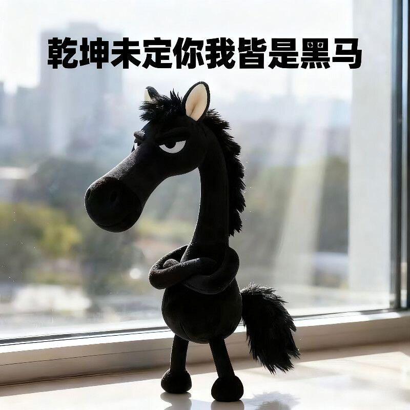 2026年新款天选黑迎好运